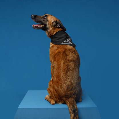 PAWDA